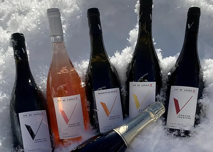 Hotel L'arveyron Open House 3*